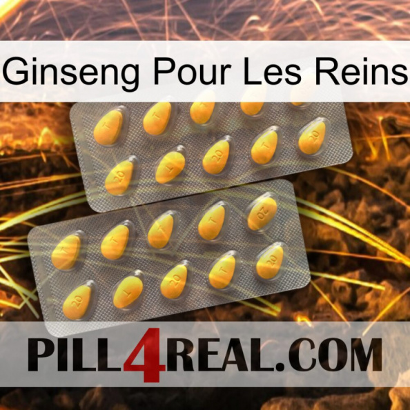 Ginseng For Kidney cialis2